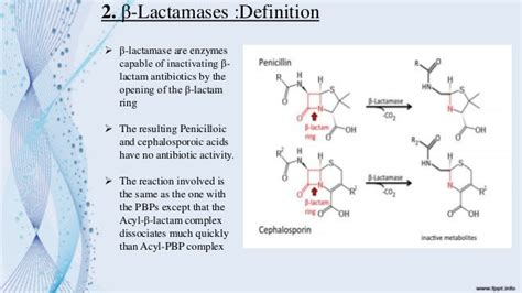 beta lactamases : structure , classification and investigations