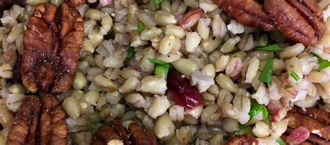 Pearl Barley Salad with Cranberries, Apples & Pecans Blythes Blog