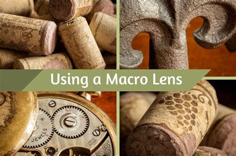 Macro Photography - How to Use a Macro Lens | Macro photography tips, Macro photography, Macro lens