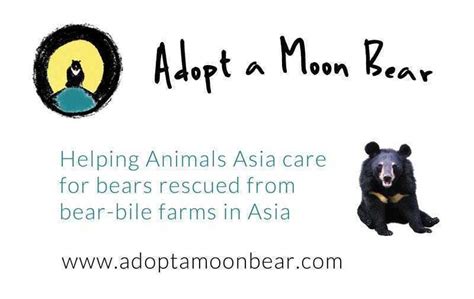 Adopt A Moon Bear