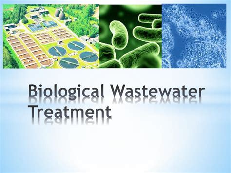 PPT - Biological Wastewater Treatment PowerPoint Presentation, free ...