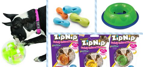 Brain Teaser Toys Challenge Your Pet Physically Too - Goodnewsforpets