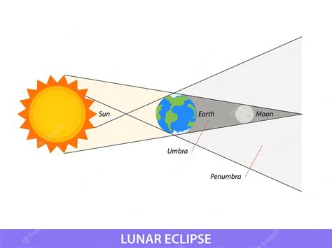 Premium Vector | Diagram showing lunar eclipse on earth illustration