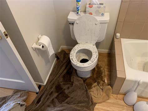 How Do I Handle a Toilet Overflow? - Flood Brothers Plumbing