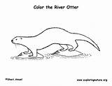 Coloring Pages Of Otters sketch template