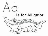 Free Printable Alligator Coloring Pages For Kids sketch template