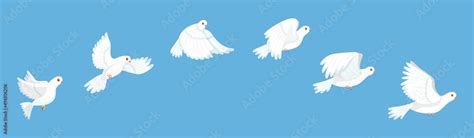 Flying bird animation. White pigeon flapping wings sequence, stop ...