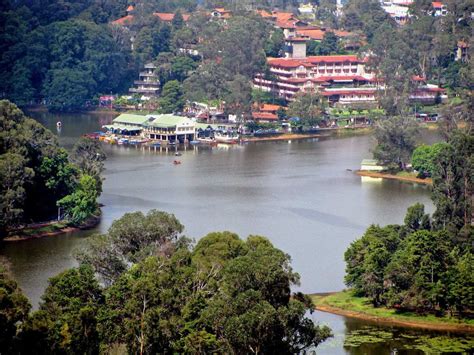 Top 16 places to visit in Kodaikanal - Willow Manor