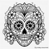 Sugar Skull Coloring Pages  Free & Printable sketch template