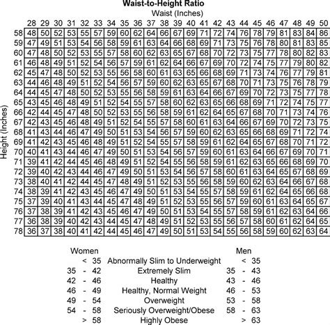 waist to height ratio - Google Search | Height, Waist, Ratio