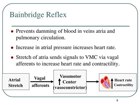 PPT - Blood Pressure Regulation 2 PowerPoint Presentation, free download - ID:3701284