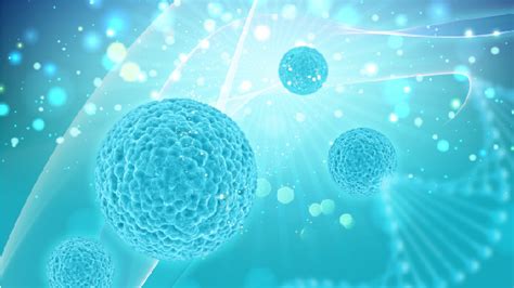 Blood Cancer Stages And Metastasis | Onco.com | Factors