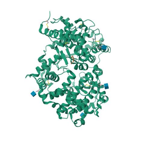 RCSB PDB - 6SH2: Crystal structure of human neprilysin E584D in complex with C-type natriuretic ...