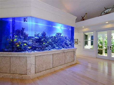 Aquarium Design In House - Ape Aquarium Fish