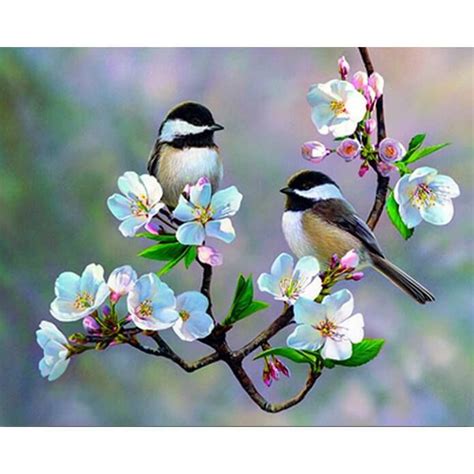 Cherry Blossoms Birds