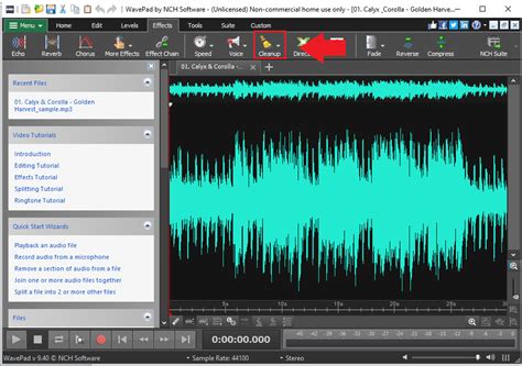 Remove Unwanted Background Noise Using WavePad Audio Editor | Do More ...