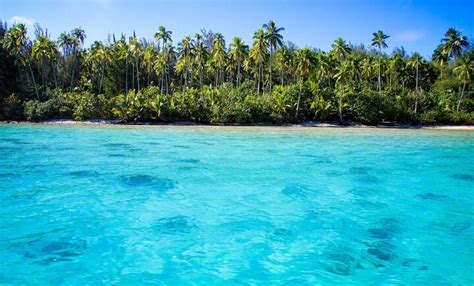 Top 5 Beaches in Tahiti – Tahiti Trip Ideas | Viator.com - Viator