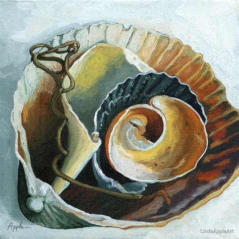 "The Collection - seashell oil painting" by LindaAppleArt | Redbubble