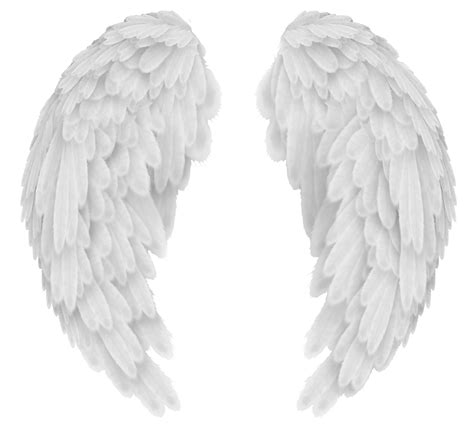 Angel Wings PNG (Overlays) 10 by agusrockforlife on DeviantArt