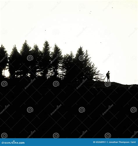 Lone adventurer stock image. Image of trees, minimalist - 65268951