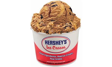 Hershey's Ice Cream Logo | lupon.gov.ph