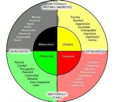 Sanguine temperament: Specifications and lifestyle - Tehran Times