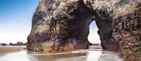 Oregon Coast tourism – beaches, attractions and towns