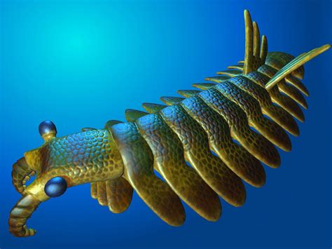 Restoration of Anomalocaris - Cambrian Explosion - by Zhenya85 - 3D model | Paleo art ...