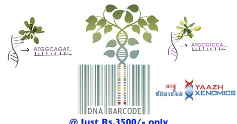 DNA Sequencing India: Plant DNA Barcoding