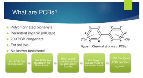 Policy and Guidance for Polychlorinated Biphenyl (PCBs) – ERG Environmental Services