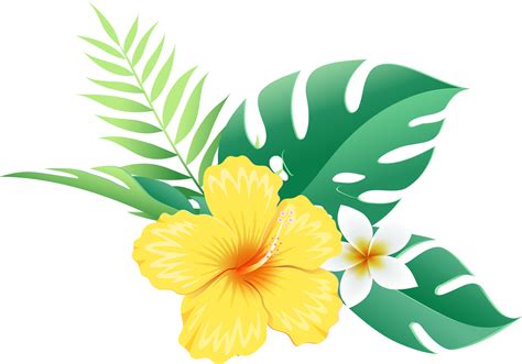 Hibiscus flowers on tropical leaf 19050310 PNG