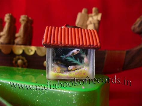 Smallest Aquarium - India Book of Records