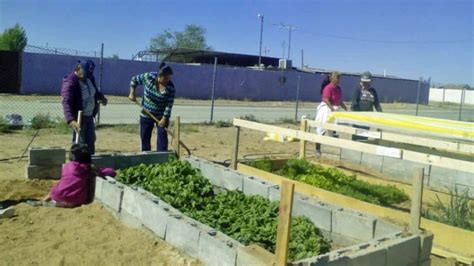 Starting Young: School gardens and nutrition classes - Border Partners