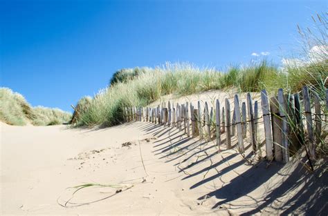 Fence On The Beach Free Stock Photo - Public Domain Pictures