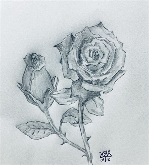 Pencil sketch of a rose - Pencil Drawings - Drawings & Illustration ...