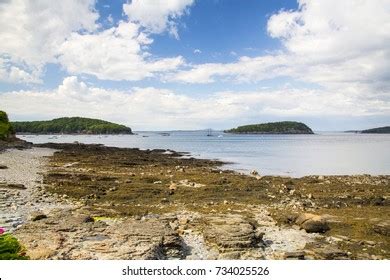 Bar Harbor Acadia National Park Stock Photo (Edit Now) 734025526