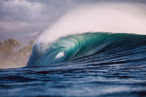 What You Need to Know about Bonzai Pipeline - And You Creations