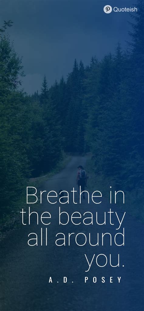 80+ Breathe Quotes in 2020 | Breathe quotes, Reality quotes, Breathe