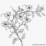Rose Vines Coloring Pages Flower 28 Free Printable sketch template
