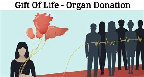 Gift of Life- Organ Donation