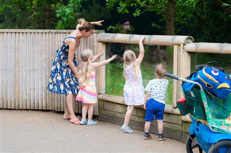 Our trip to Chester Zoo 2017 - Five Little Doves