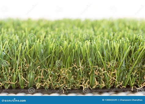 Lawn grass with sunlight stock image. Image of exercise - 130043339