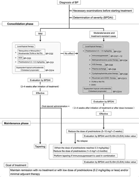 Bullous pemphigoid (BP) treatment algorithm. BPDAI, Bullous Pemphigoid... | Download Scientific ...