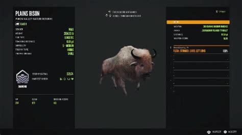 Super Rare Diamond Leucistic Plains Bison On Yukon| The Hunter Call Of ...