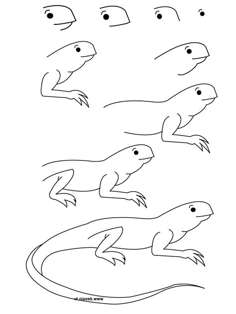 Simple Lizard Drawing at PaintingValley.com | Explore collection of ...