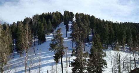 Mt. Lemmon Ski Valley, Tucson | Roadtrippers