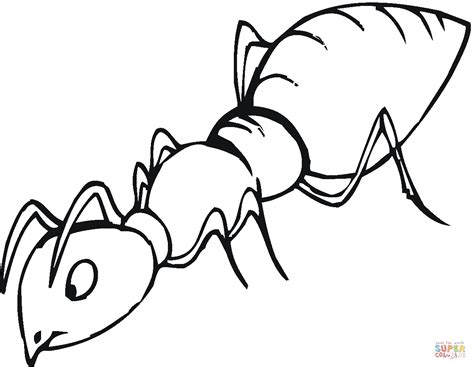 Ant black and white ant is sniffing coloring page free printable coloring pages clipart ...