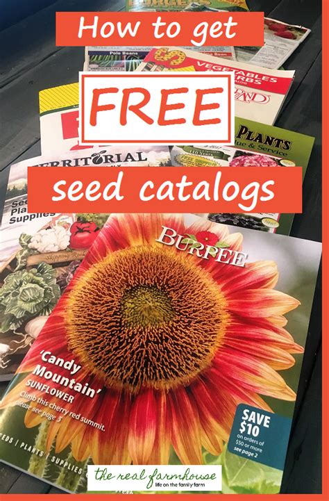 Flower Seed Catalogs 2017 | Best Flower Site