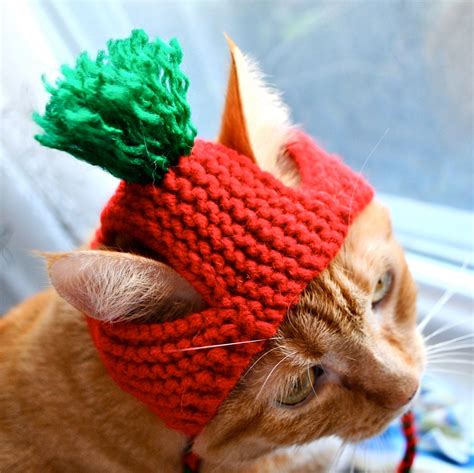 Tomato Costume for Cats Hand Knit Cat Hat Cat Halloween