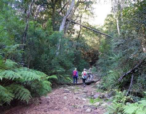 Deua National Park Fire Trails | BATEMANS BAY BUSHWALKERS INC.